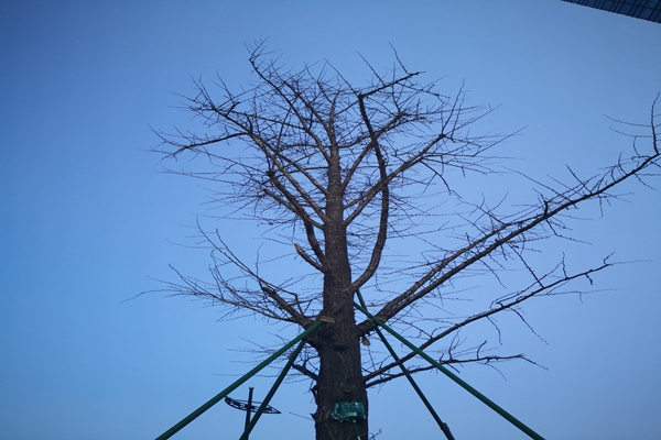 提“氣”質丨打造2.0版本,實現“大數據”精準治污